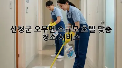 산청군 오부면 소규모 호텔 맞춤 청소 서비스