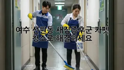 여수 선원동 새집증후군, 카펫 청소로 해결하세요!