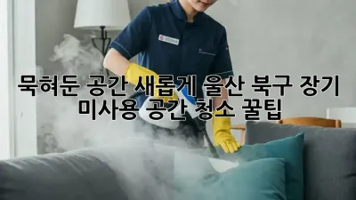 묵혀둔 공간, ✨새롭게! 울산 북구 장기 미사용 공간 청소 꿀팁