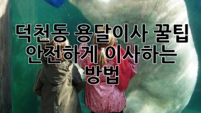 덕천동 용달이사 꿀팁🍯 안전하게 이사하는 방법!