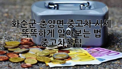 🚗 화순군 춘양면 중고차 시세, 똑똑하게 알아보는 법! #중고차꿀팁